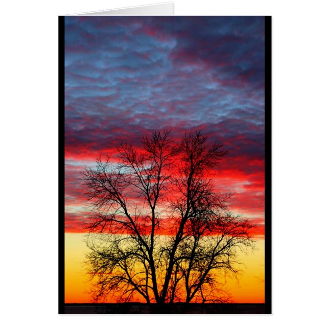 Lago Winnebago Sunset se parece a la bandera estad (Frente)