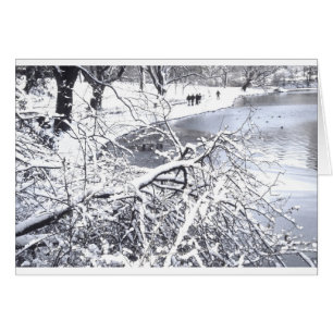 Lago winter del Central Park