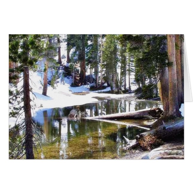 Lagos Trees Forrests (Anverso (Horizontal))