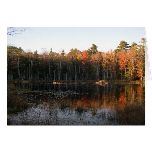 Laguna de castores de Nuevo Hampshire en otoño (Anverso (Horizontal))