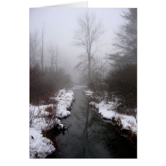 Lake Hill Winter, NY (Frente)