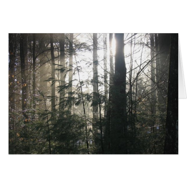 Lake Hill Winter, NY (Anverso (Horizontal))