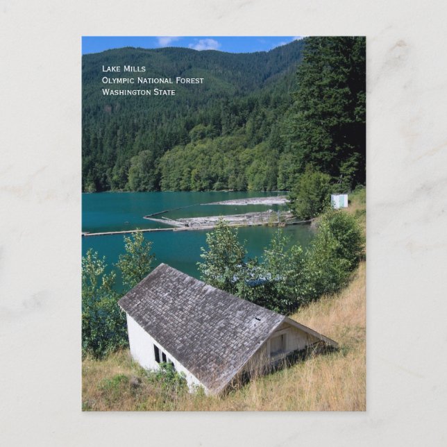 Lake Mills, postal olímpica de la selva nacional (Anverso)