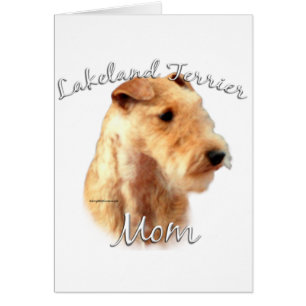 Lakeland Terrier Mom 2