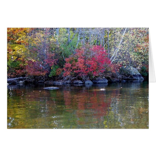 Lakeview (Anverso (Horizontal))