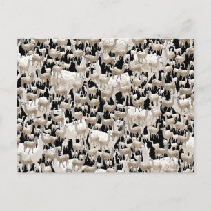 Lama, postal de Llama