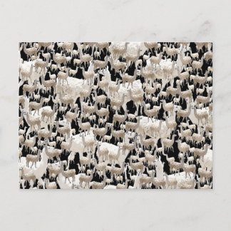 Lama, postal de Llama