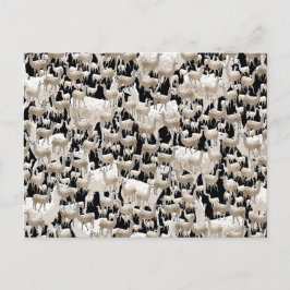 Lama, postal de Llama