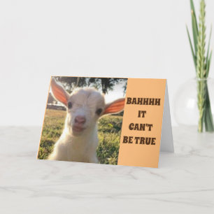 LAMB SÓLO NO PUEDE CREER QUE SEA *80* TARJETA DE C