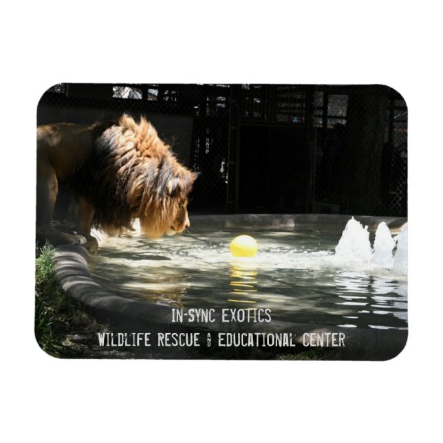 Lambert - Imán fotográfico flexible (Horizontal)