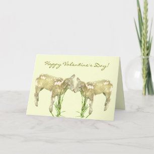 Lambres pequeños con tarjeta Día de San Valentín a
