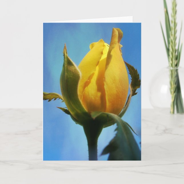 Lamentaciones sobre la tarjeta de guiones de rosa  (Anverso)