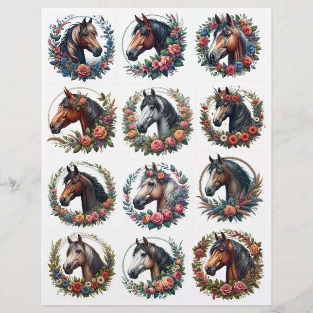 Lámina 20 magníficos recortes de costillas de caballos de (Anverso)