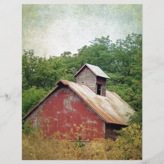 Lámina Abandonados y sobrepoblados (Anverso)