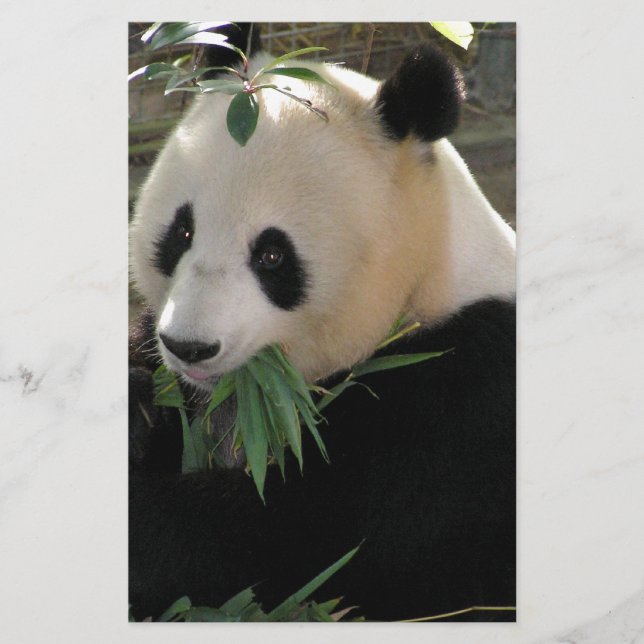 Lámina Abrazos de Oso Panda (Anverso)