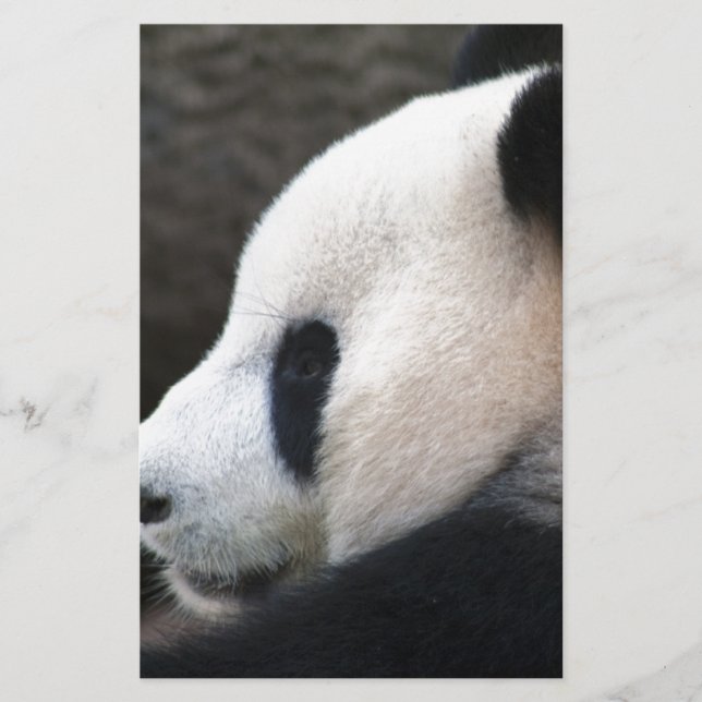 Lámina Abrazos de Oso Panda (Anverso)
