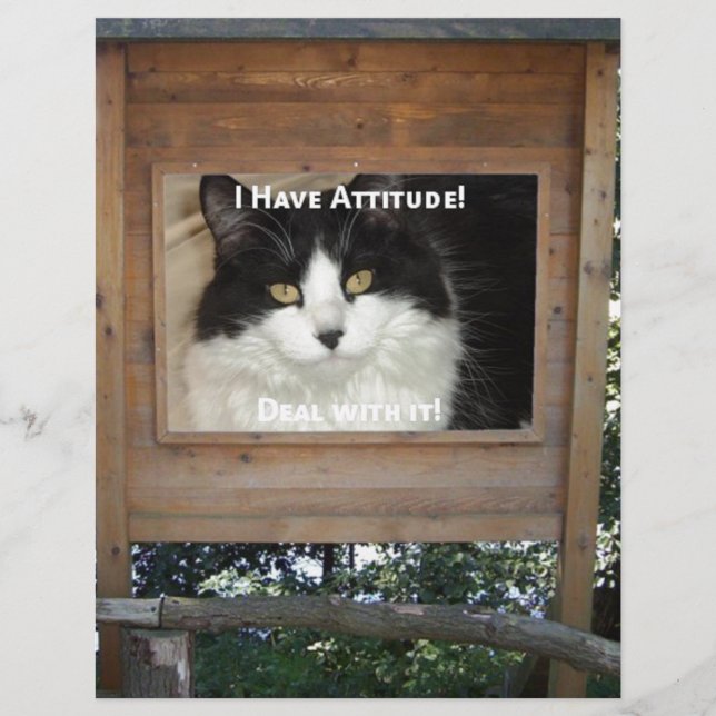 Lámina Actitud del gato (Anverso)