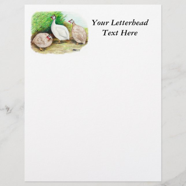 Lámina Afuera de Guinea (Anverso)