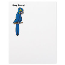 Ahoy Matey Pirate Parrot Personalizado, Funny Maca