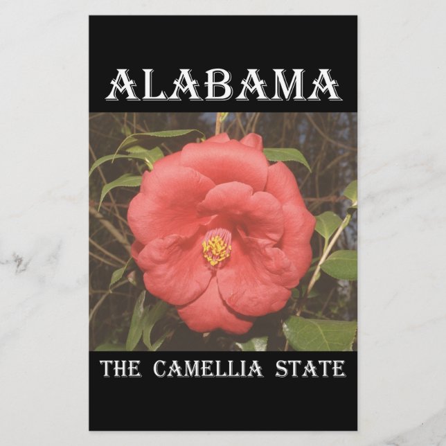 Lámina Alabama Camellia (Rojo) (Anverso)