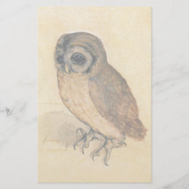 Lámina Albrecht Durer The Little Owl