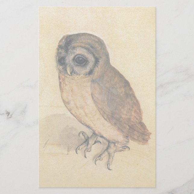 Lámina Albrecht Durer The Little Owl (Anverso)