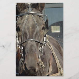 Lámina Amish Buggy Horse