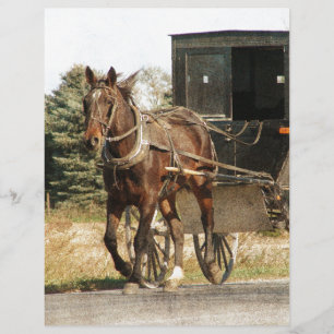 Lámina Amish Horse and Buggy