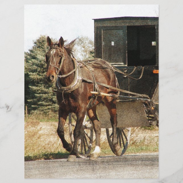 Lámina Amish Horse and Buggy (Anverso)