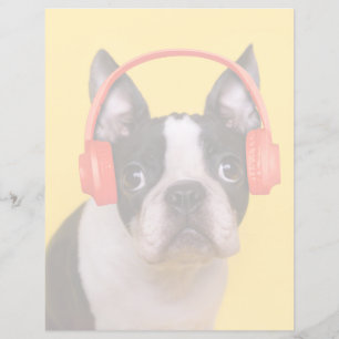 Lámina Animales de bebé más afectados   Auriculares de Bo