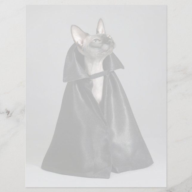 Lámina Animales de bebé más afectados | Gato sin pelo Sph (Anverso)