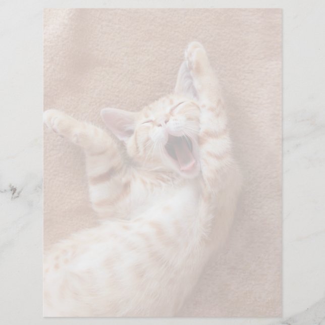 Lámina Animales de bebé más afectados | Ginger Kitten Yaw (Anverso)