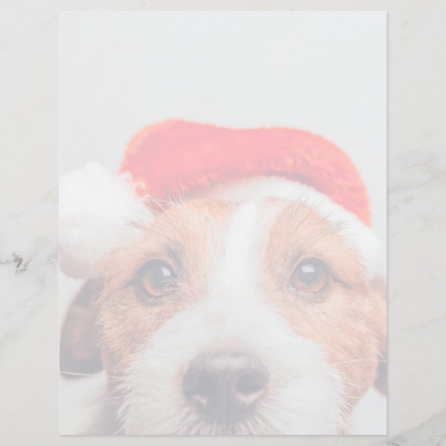 Lámina Animales de bebé más afectados | Jack Russell Dog  (Anverso)