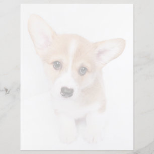 Lámina Animales de bebé más afectados Joven Corgi Puppy