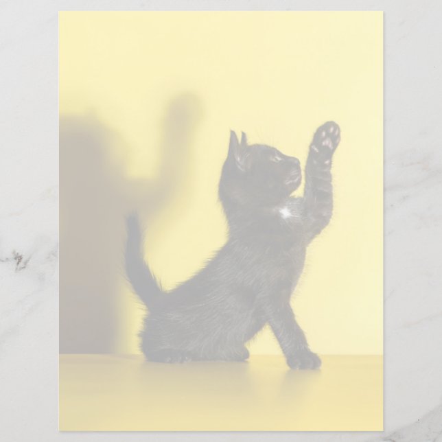 Lámina Animales de bebé más afectados | Jugar al gato neg (Anverso)