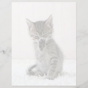 Lámina Animales de bebé más afectados Licor Tabby Kitte