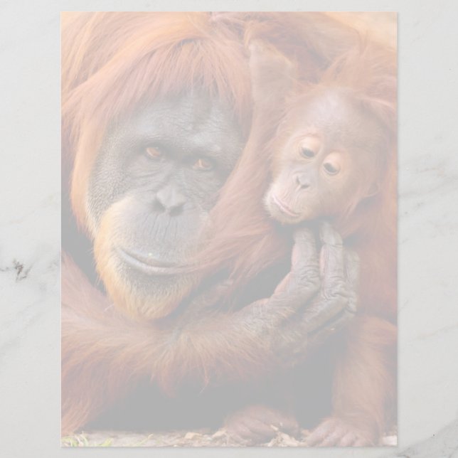 Lámina Animales de bebé más afectados | Mamá y bebé de Or (Anverso)
