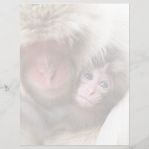 Lámina Animales de bebé más afectados Mono de nieve