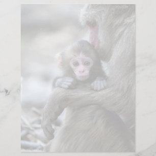 Lámina Animales de bebé más afectados Mono japonés y be