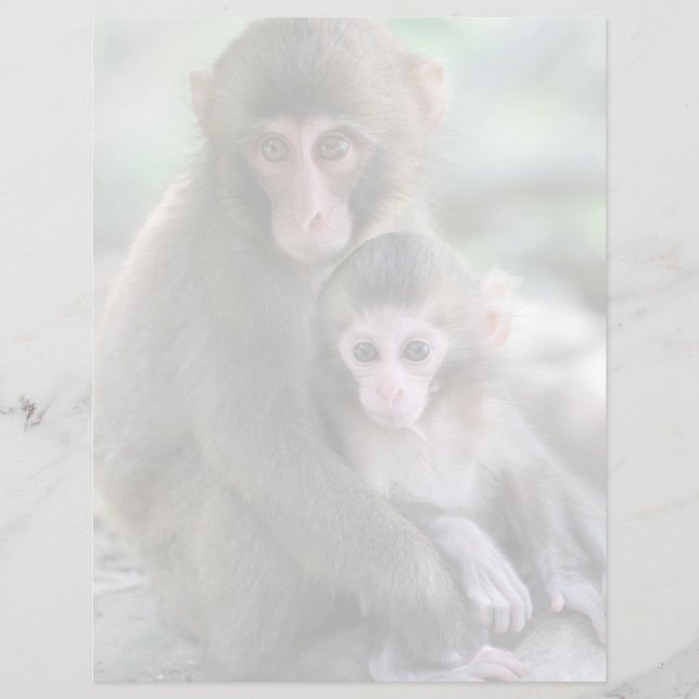 Lámina Animales de bebé más afectados | Monos japoneses (Anverso)