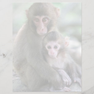 Lámina Animales de bebé más afectados   Monos japoneses