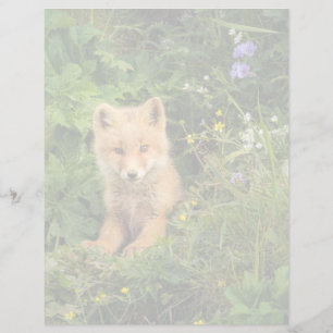 Lámina Animales de bebé más afectados   Red Fox en Umnak 