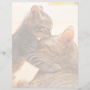 Lámina Animales de bebé más afectados   Tabby Kitten Kiss
