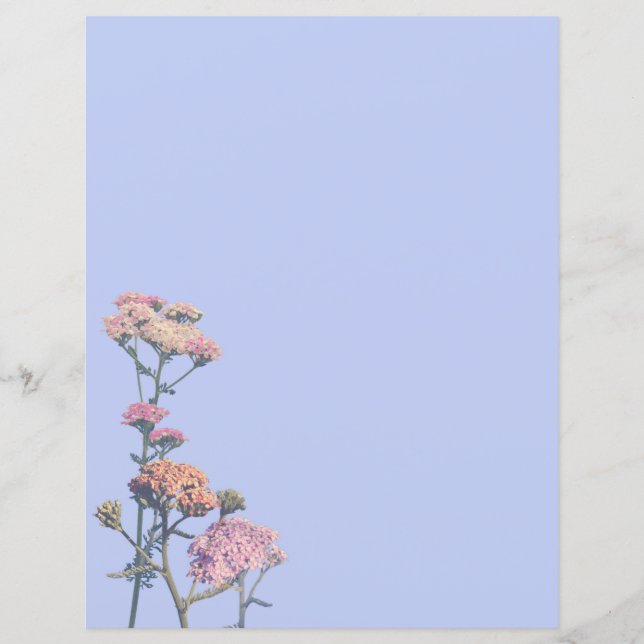 Lámina Aranceles rosas sobre un fondo morado (Anverso)