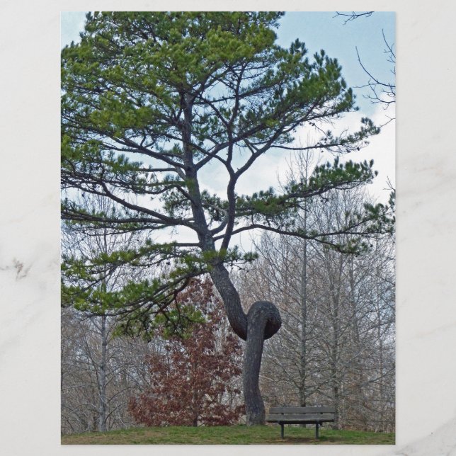 Lámina Árbol con dos caras (Anverso)
