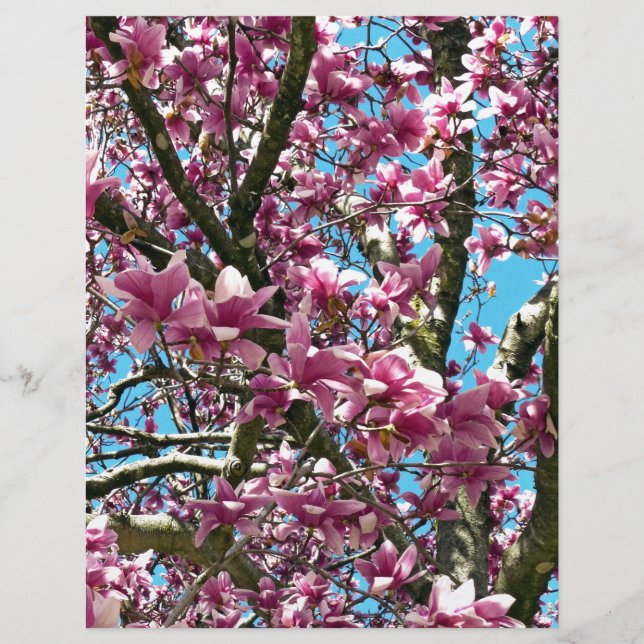 Lámina Árbol de tulipanes (Anverso)
