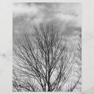 Lámina Árbol monocromo superior