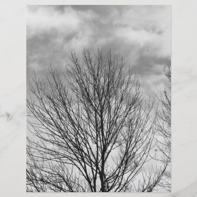 Lámina Árbol monocromo superior (Anverso)