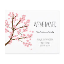 Árbol Sakura de flores de cerezo presupuestado que