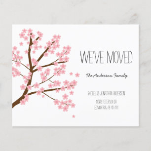 Lámina Árbol Sakura de flores de cerezo presupuestado que